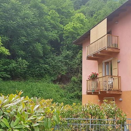 Appartamento Angi - Lago & Vacanza Attiva ريفا ديل غاردا المظهر الخارجي الصورة